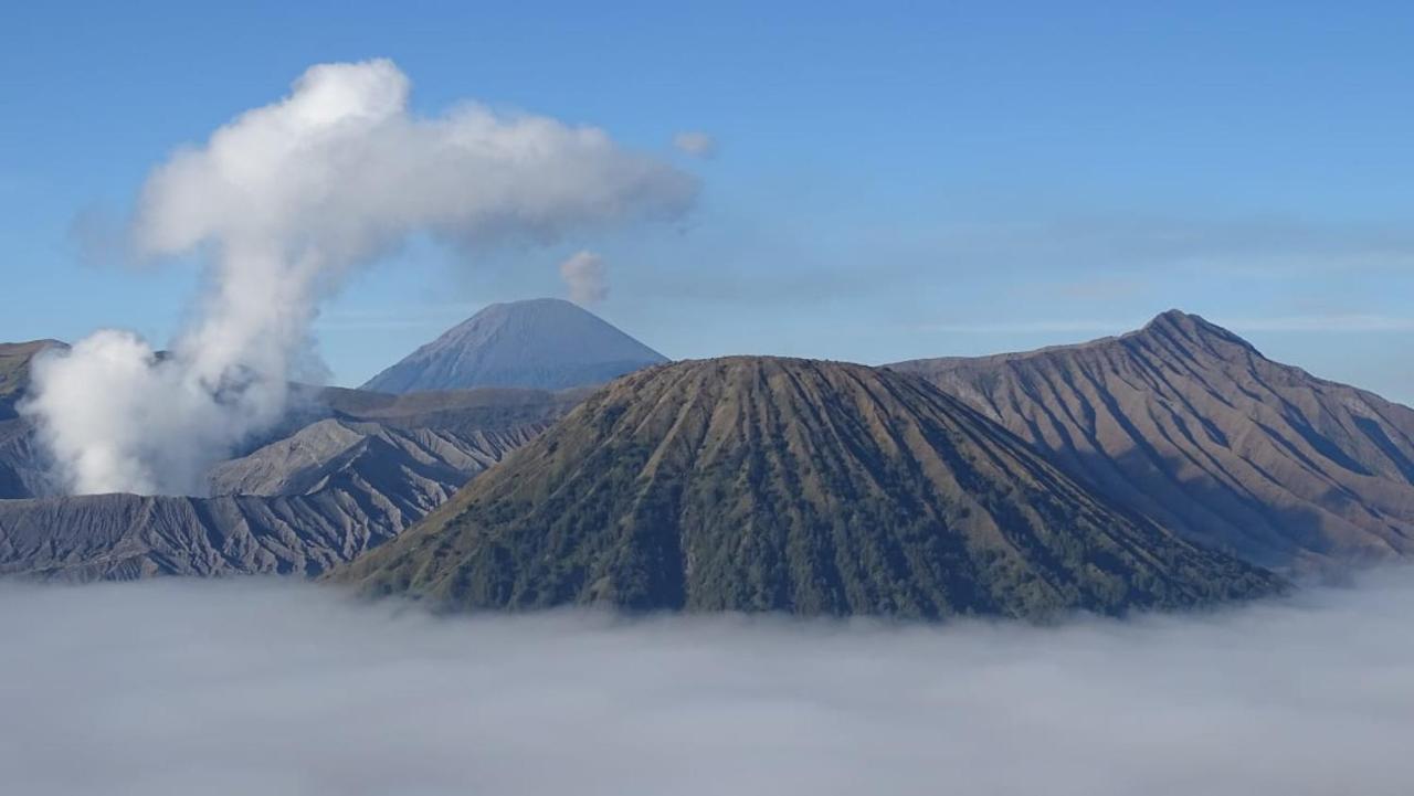 Good Karma Bromo Guesthouse Exterior photo